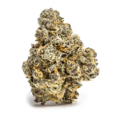 Stuffed Cherry Gelato